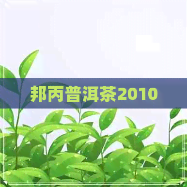 邦丙普洱茶2010