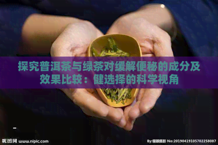 探究普洱茶与绿茶对缓解便秘的成分及效果比较：健选择的科学视角