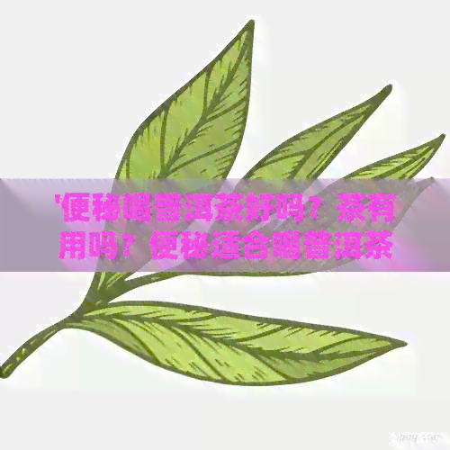 '便秘喝普洱茶好吗？茶有用吗？便秘适合喝普洱茶生还是熟？'