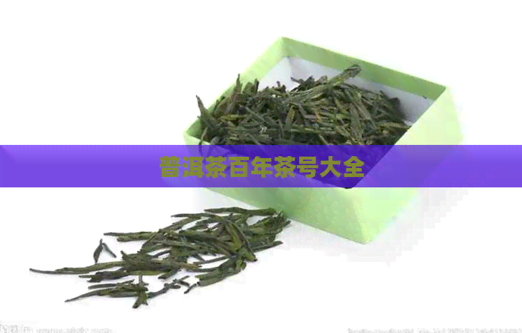 普洱茶百年茶号大全