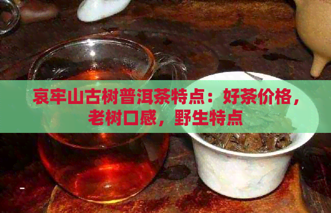 哀牢山古树普洱茶特点：好茶价格，老树口感，野生特点