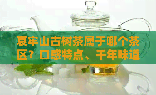 哀牢山古树茶属于哪个茶区？口感特点、千年味道如何？