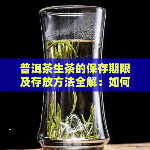 普洱茶生茶的保存期限及存放方法全解：如何确保茶叶品质和口感？