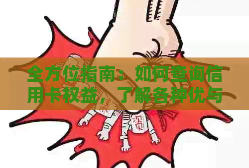 全方位指南：如何查询信用卡权益，了解各种优与服务