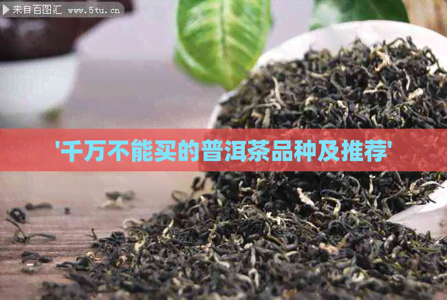 '千万不能买的普洱茶品种及推荐'