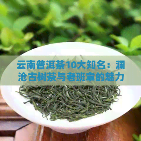 云南普洱茶10大知名：澜沧古树茶与老班章的魅力排名榜