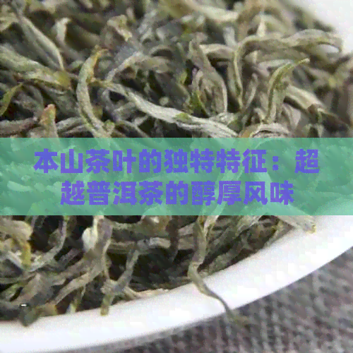 本山茶叶的独特特征：超越普洱茶的醇厚风味