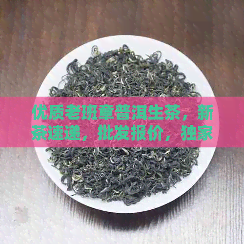 优质老班章普洱生茶，新茶速递，批发报价，独家优价