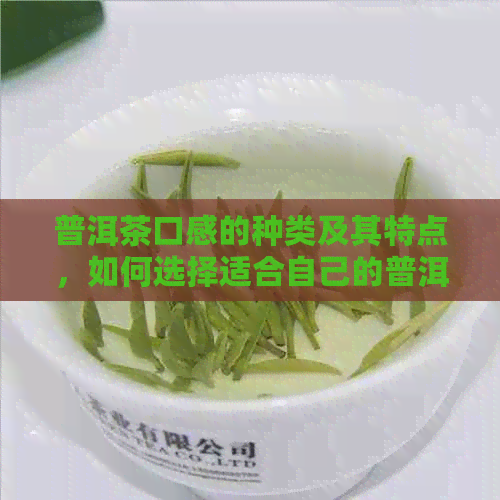 普洱茶口感的种类及其特点，如何选择适合自己的普洱茶？