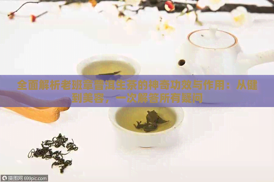 全面解析老班章普洱生茶的神奇功效与作用：从健到美容，一次解答所有疑问