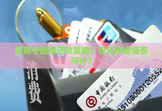 信用卡逾期还款策略：仅还本金是否可行？