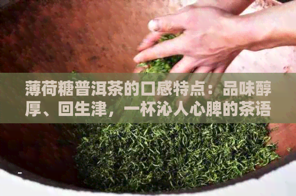 薄荷糖普洱茶的口感特点：品味醇厚、回生津，一杯沁人心脾的茶语体验