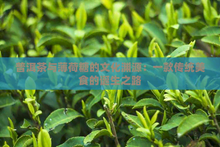 普洱茶与薄荷糖的文化渊源：一款传统美食的诞生之路