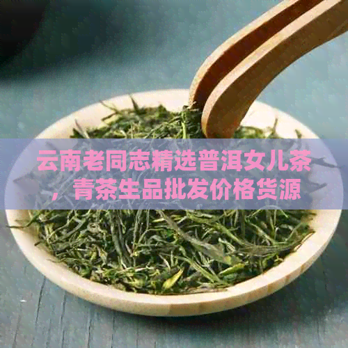 云南老同志精选普洱女儿茶，青茶生品批发价格货源