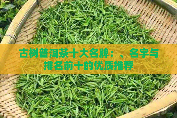 古树普洱茶十大名牌：、名字与排名前十的优质推荐