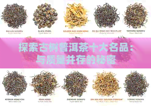 探索古树普洱茶十大名品：与质量并存的秘密