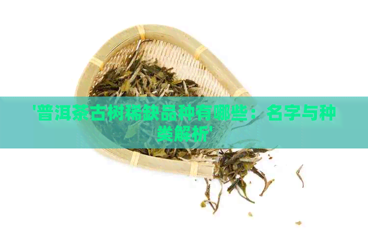 '普洱茶古树稀缺品种有哪些：名字与种类解析'