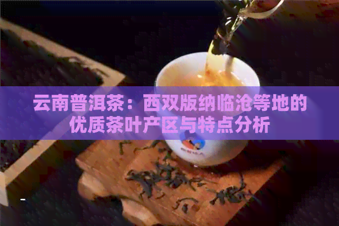 云南普洱茶：西双版纳临沧等地的优质茶叶产区与特点分析