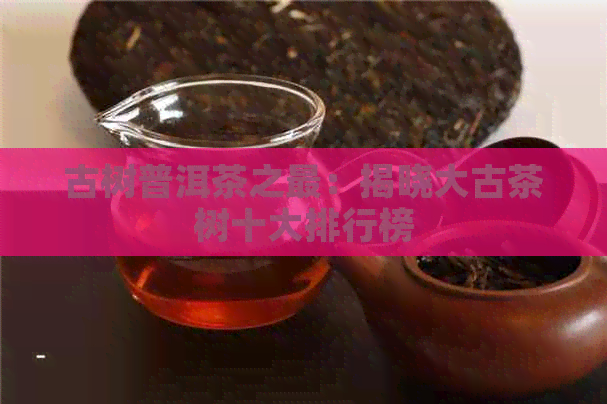 古树普洱茶之最：揭晓大古茶树十大排行榜