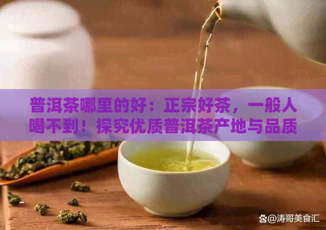 普洱茶哪里的好：正宗好茶，一般人喝不到！探究优质普洱茶产地与品质