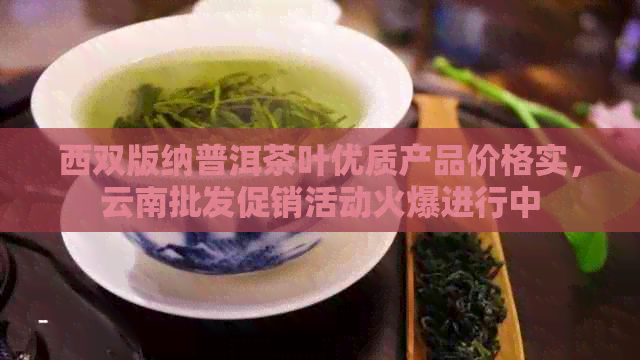 西双版纳普洱茶叶优质产品价格实，云南批发促销活动火爆进行中