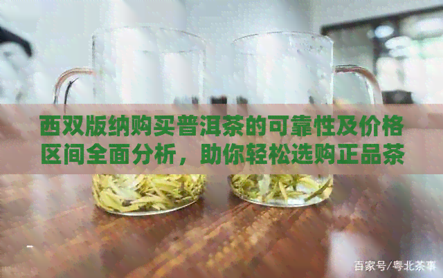 西双版纳购买普洱茶的可靠性及价格区间全面分析，助你轻松选购正品茶叶