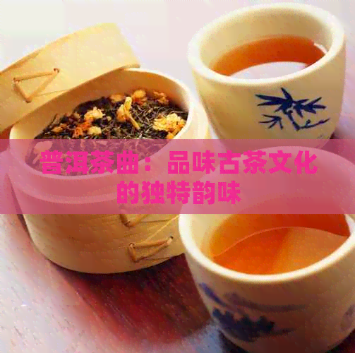 普洱茶曲：品味古茶文化的独特韵味