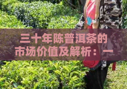 三十年陈普洱茶的市场价值及解析：一斤到底值多少钱？