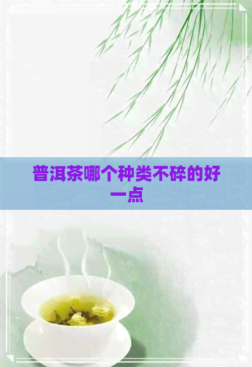 普洱茶哪个种类不碎的好一点