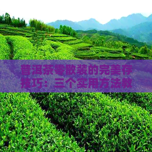 普洱茶零散装的完美存技巧：三个实用方法教你如何保存