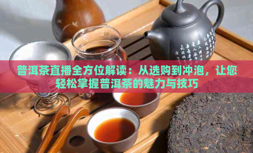 普洱茶直播全方位解读：从选购到冲泡，让您轻松掌握普洱茶的魅力与技巧