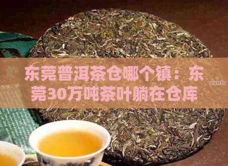 东莞普洱茶仓哪个镇：东莞30万吨茶叶躺在仓库！普洱茶交易中心