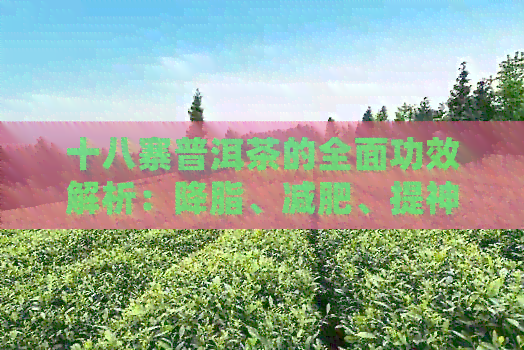 十八寨普洱茶的全面功效解析：降脂、减肥、提神、抗氧化等多方面的作用