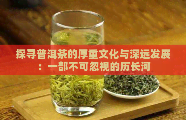 探寻普洱茶的厚重文化与深远发展：一部不可忽视的历长河