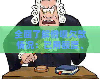 全面了解借呗欠款情况：已用额度、还款进度、逾期罚款等一网打尽！