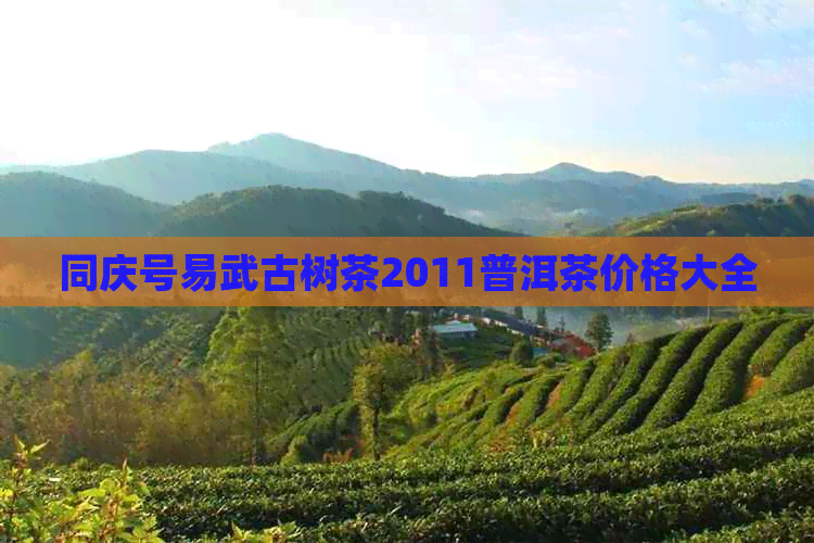 同庆号易武古树茶2011普洱茶价格大全