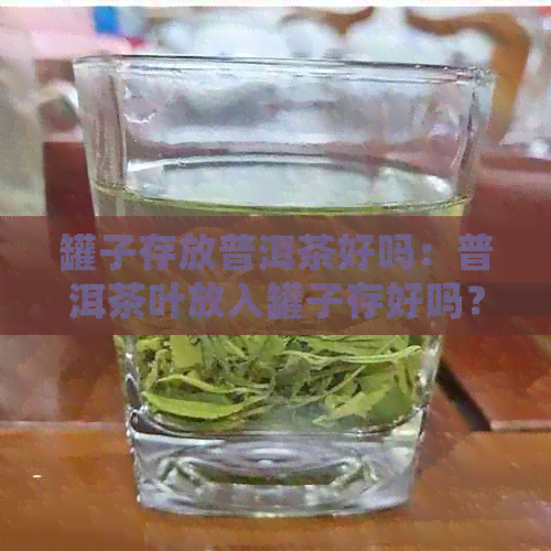 罐子存放普洱茶好吗：普洱茶叶放入罐子存好吗？是否会有素问题？