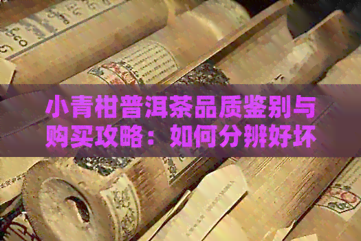 小青柑普洱茶品质鉴别与购买攻略：如何分辨好坏及挑选技巧