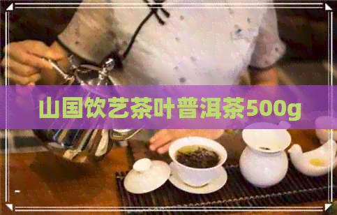 山国饮艺茶叶普洱茶500g