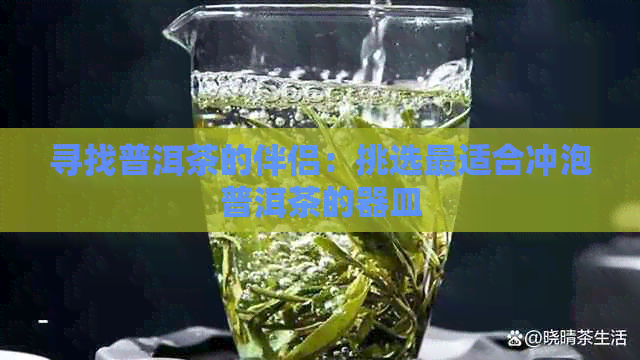 寻找普洱茶的伴侣：挑选最适合冲泡普洱茶的器皿