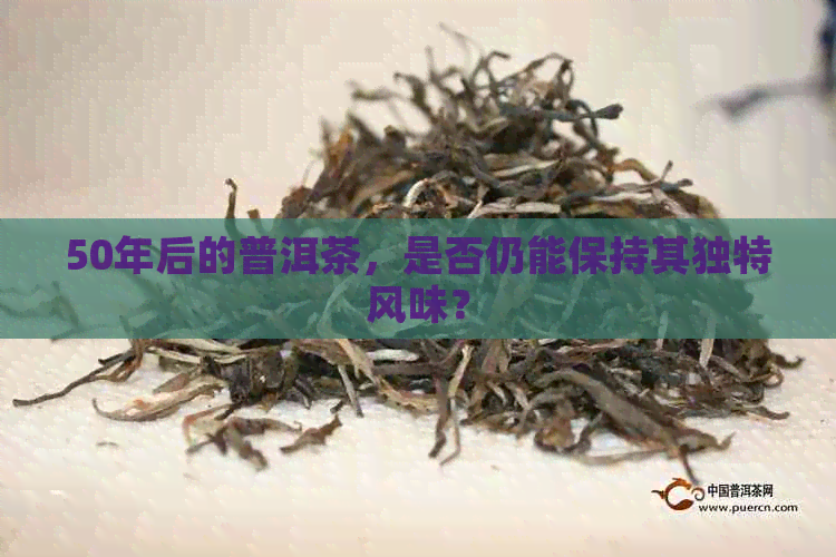 50年后的普洱茶，是否仍能保持其独特风味？