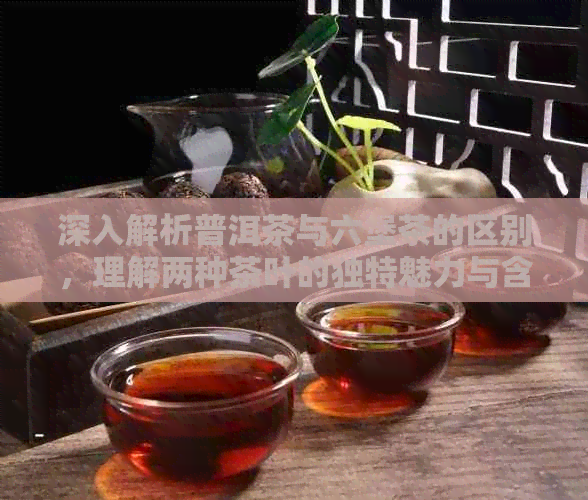 深入解析普洱茶与六堡茶的区别，理解两种茶叶的独特魅力与含义