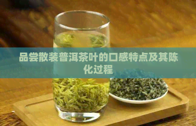 品尝散装普洱茶叶的口感特点及其陈化过程