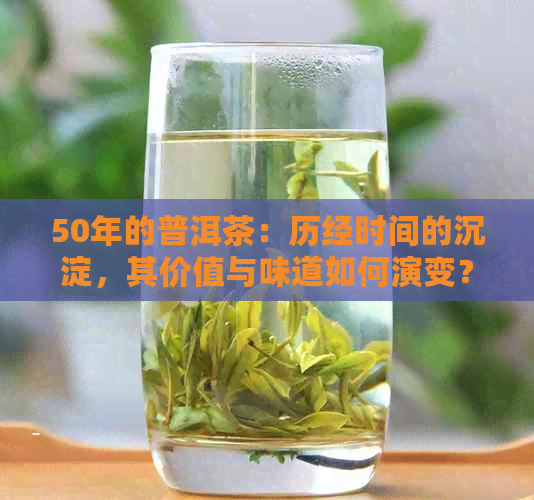 50年的普洱茶：历经时间的沉淀，其价值与味道如何演变？