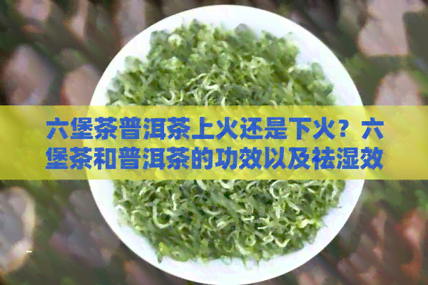 六堡茶普洱茶上火还是下火？六堡茶和普洱茶的功效以及祛湿效果哪个更好？