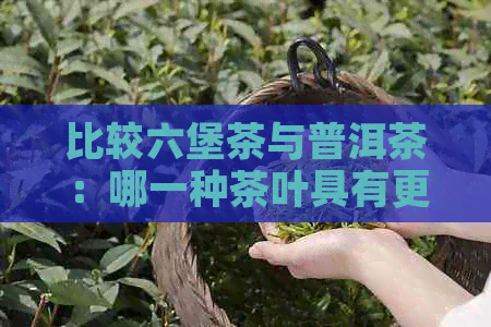 比较六堡茶与普洱茶：哪一种茶叶具有更好的祛湿效果？