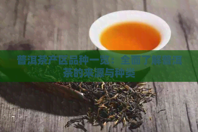 普洱茶产区品种一览：全面了解普洱茶的来源与种类