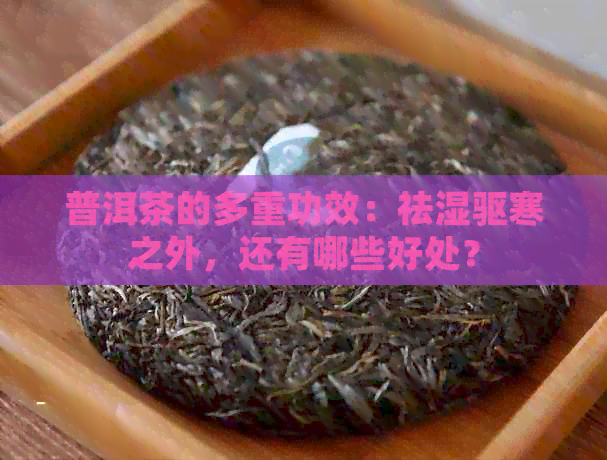 普洱茶的多重功效：祛湿驱寒之外，还有哪些好处？