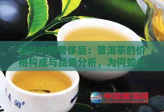 茶叶中的奢侈品：普洱茶的价格构成与品质分析，为何如此昂贵？