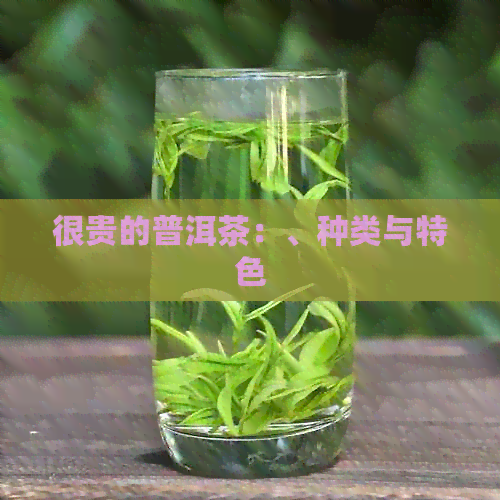 很贵的普洱茶：、种类与特色